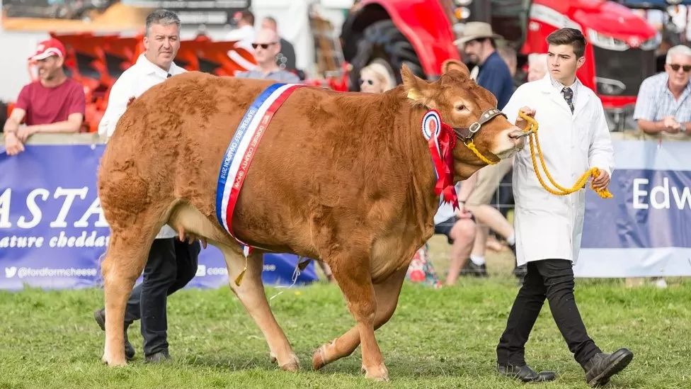 The show features livestock competitions, sheep shearing, vintage tractors and show jumping