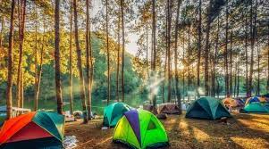 Dehydrated Backpacking and Camping Food Market Key Players and Growth Analysis with Forecast 2023 Katadyn Group, Kraft Foods