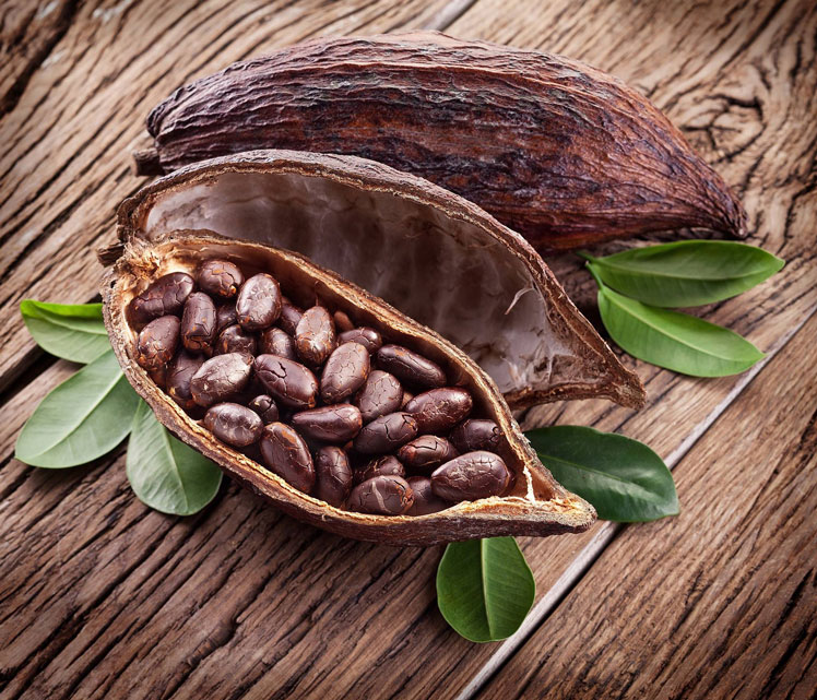 Ghana Seeks Investment from China to Improve Cocoa Production