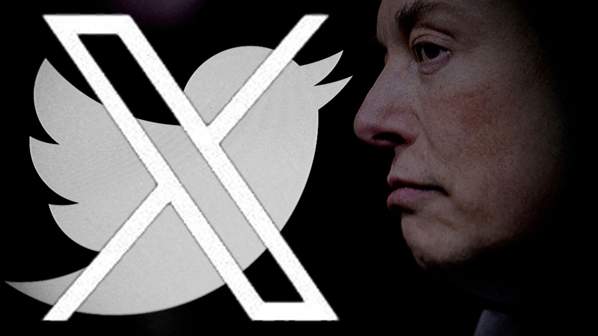 Elon Musk wants to rebrand Twitter - here's why it's going to be such an enormous challenge