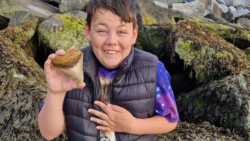Hemel Hempstead boy finds megalodon shark tooth at Walton-on-the-Naze