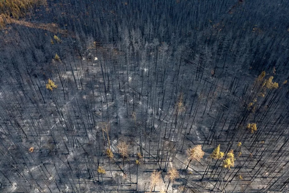 Is climate change fuelling Canada's wildfires?
