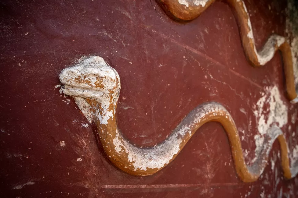 Kitchen shrine serpents and more fascinating new Pompeii discoveries