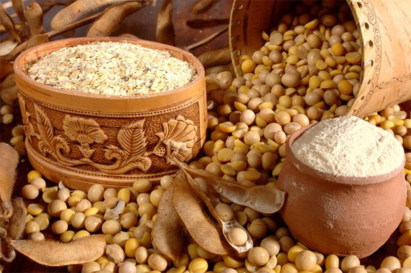 Soy Protein Market | Top Most players | Archer Daniels Midland Company, Cargill, Incorporated, Kerry Group, E.I. Dupont De Nemours and Company