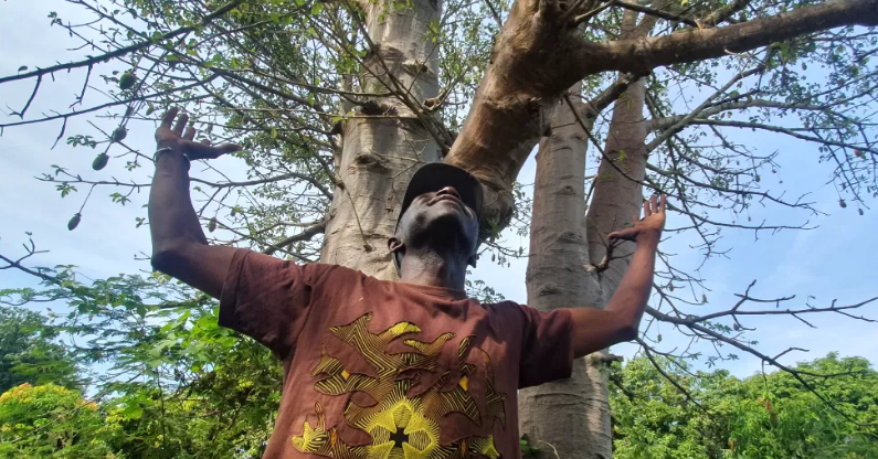 The Senegal man on a mission to plant five million trees