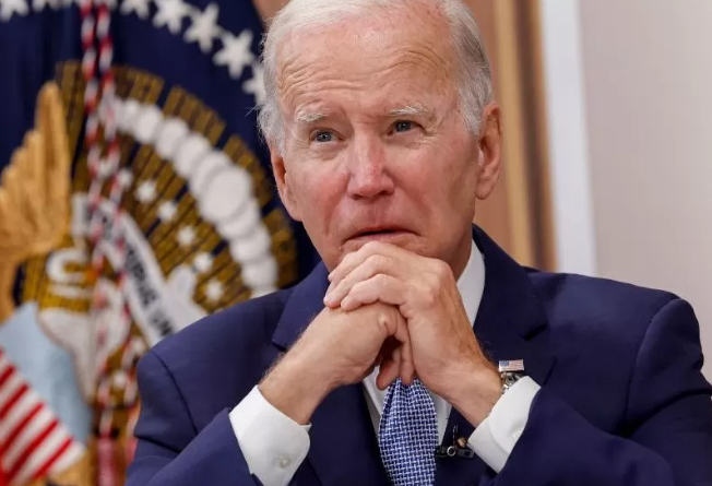 US presidential election 2024: Democrats who might challenge Biden
